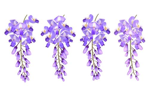 垂坠樱花紫藤素材 - 优动漫 动漫创作支援平台