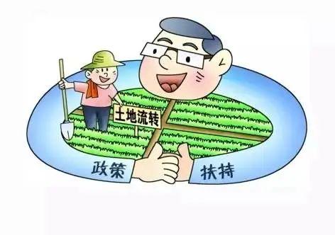普法 ▏什么是农村土地流转?如何合法流转农村承包地?