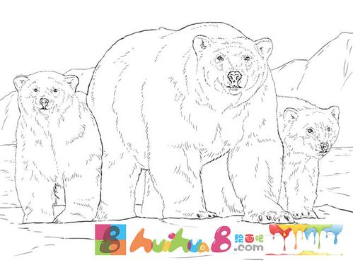 8款北极熊简笔画图片大全
