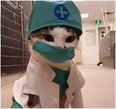 【愉快周末】围观医院各科室的表情包!