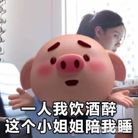 猪小屁猪头表情包