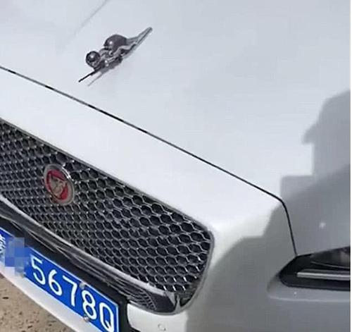 遇吃鸡爱好者是怎样,车牌5678却被忽视,98k车标火了!