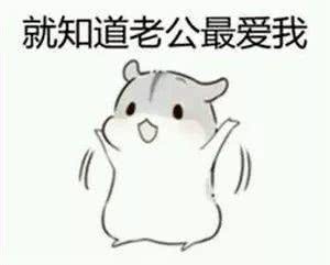 仓鼠哄老公表情包:给老公画个爱心