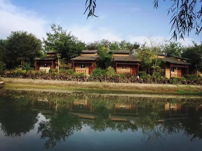 海宁市女企业家协会"丽人有约"走进神龙湾森林小镇