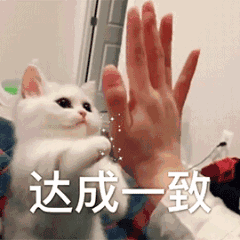 达成表情包 - 日常表情包