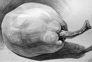 求一些简单的素描画.