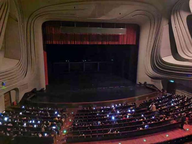 梅溪湖国际文化艺术中心大剧院-"长沙梅溪湖国际文化.