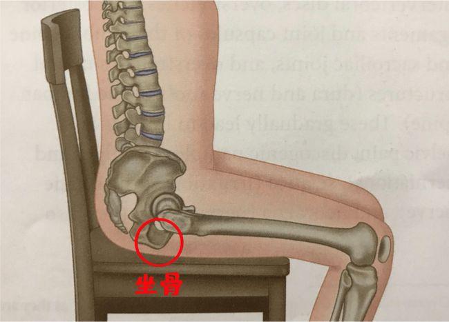 驼着背坐不直不能全怪娃这些人体工学小细节值得关注
