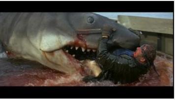 求教一部鲨鱼电影