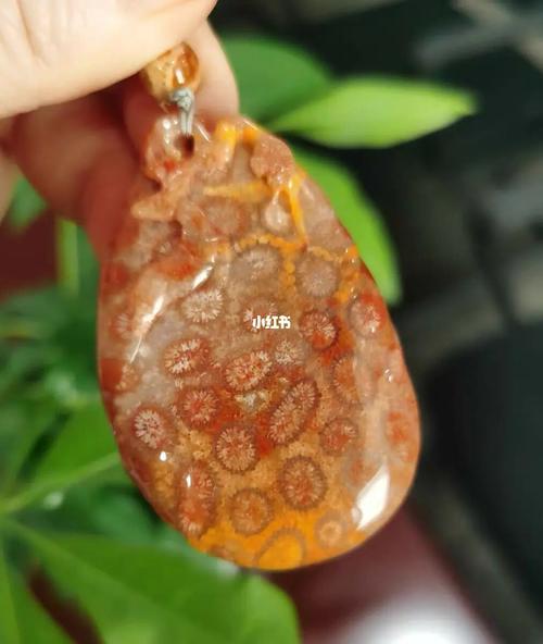珊瑚玉吊坠3贴身佩戴3个月后花开了_珊瑚_吊坠_珊瑚玉