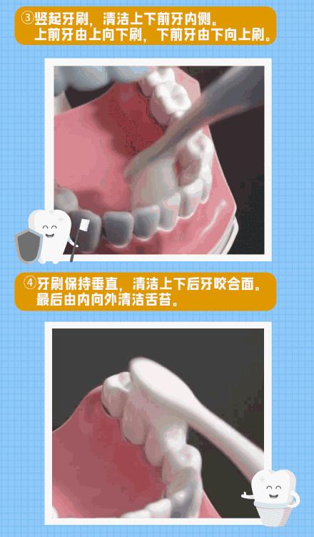 牙齿清洁不彻底?快来get巴氏刷牙法