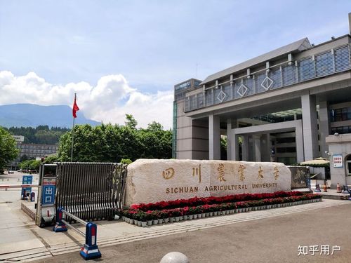 在四川农业大学就读是怎样的体验?