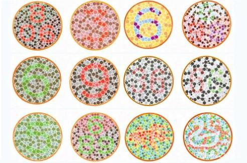 车管所常用的色盲测试图,你认出最后一个的话,基本和