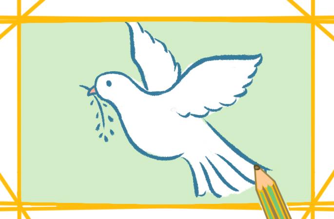 世界很多城市和广场上,都会眷养着鸽子.