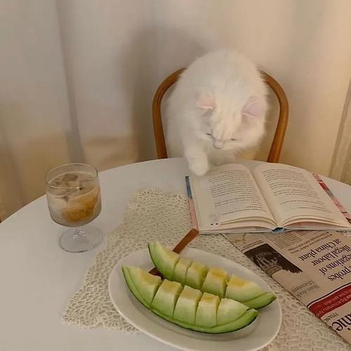 读书或者正在学习的头像