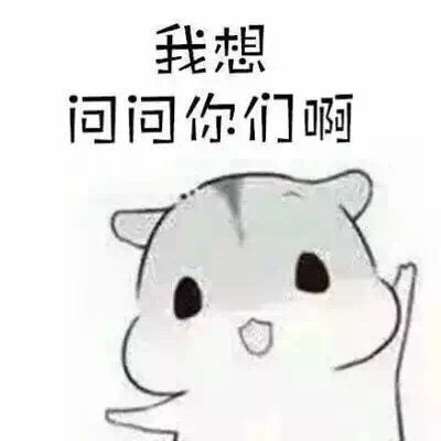 我想问问你们啊仓鼠表情包