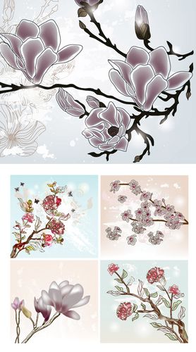关键词: 素雅木兰花矢量素材图,木兰花,鲜花,蝴蝶,素雅,彩绘,水墨画