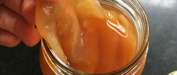 吃红茶菌好处多多,它可以增强身体免疫力,食用时需