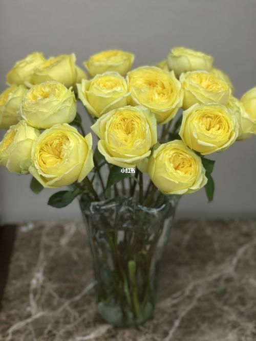 凯特琳娜玫瑰_鲜花_家居家装_家居装饰