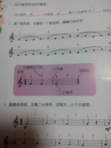 高音谱号,低音谱号 连线 小节线 反复记号 小雪花反复记号 延长记号