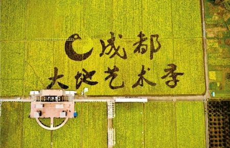 成都第二届天府大地艺术季在郫都区东林艺术村举行.