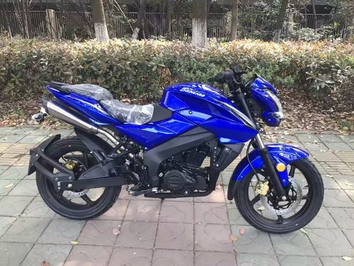 宝雕250-3a