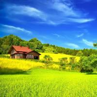 微信头像草原风景图片真实人拍的【点击鼠标右键下载】