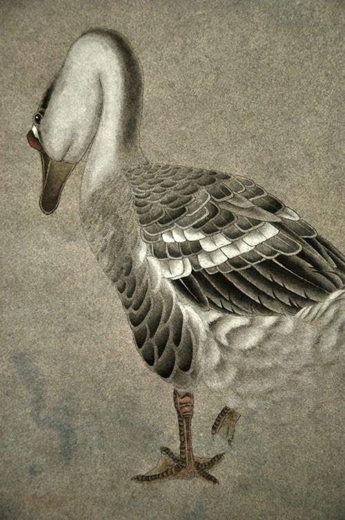 工笔画 —— 《鹅》