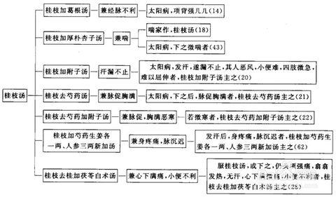 伤寒论考点重点疏理:[10]太阳中风兼证