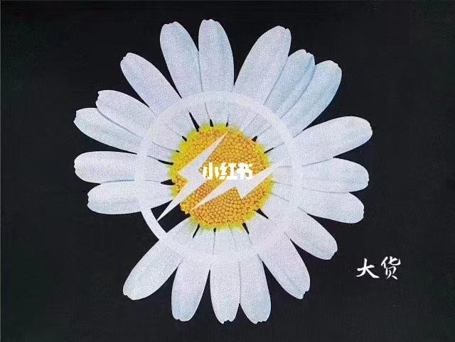 peaceminuson x gd权志龙小雏菊联名_权志龙_小雏菊_时尚_配饰