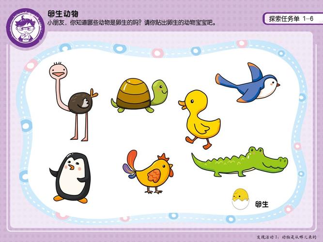 公布答案喽!这些小动物都是卵生动物,你答对了吗?
