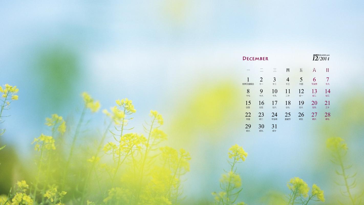 2014年12月日历壁纸干净清爽的大自然风光绿色风景高清图片
