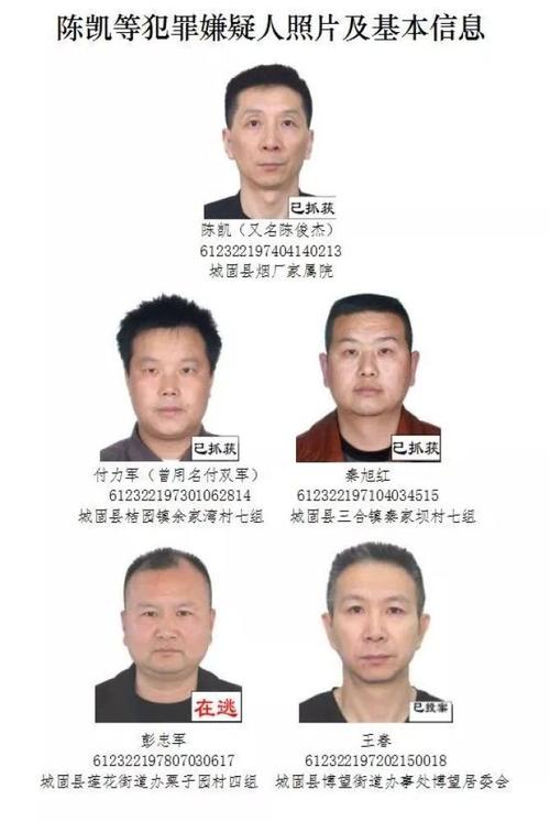 【汉中公安】 关于征集陈凯,付力军,秦旭红,彭忠军,党军等人违法犯罪