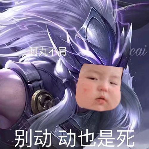 大家有没有马超和瑶的表情包啊