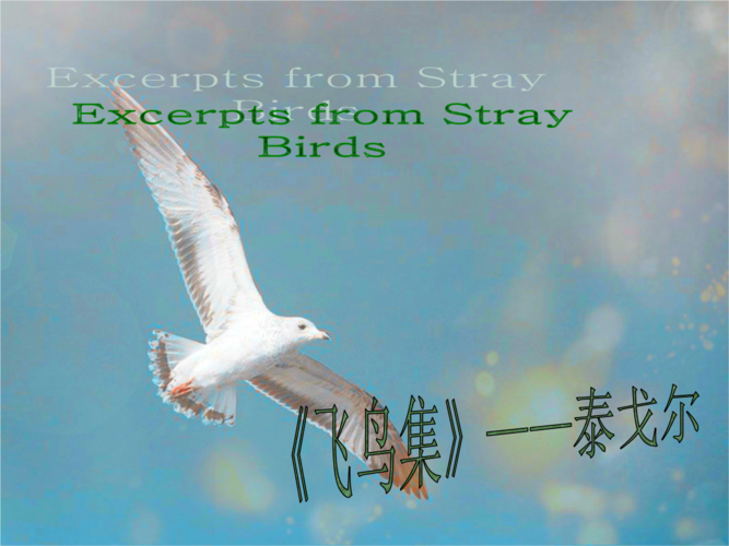 品飞鸟集.ppt