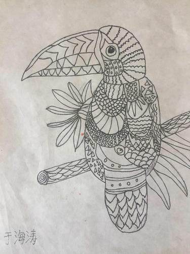 9.16欣赏学生作品 线描画——《大嘴鸟》