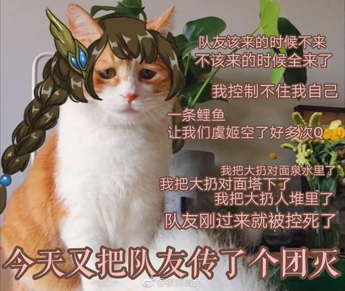 王者荣耀表情包 大乔