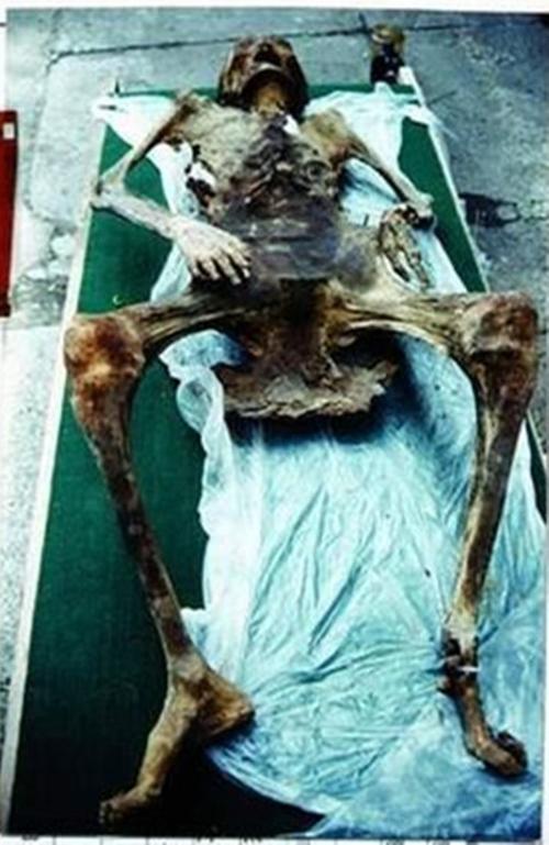 古墓里的诡异女尸,背后隐藏着一段不为人知的故事