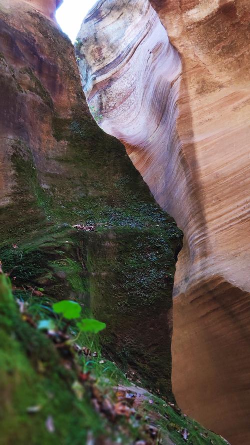 陕西甘泉雨岔大峡谷