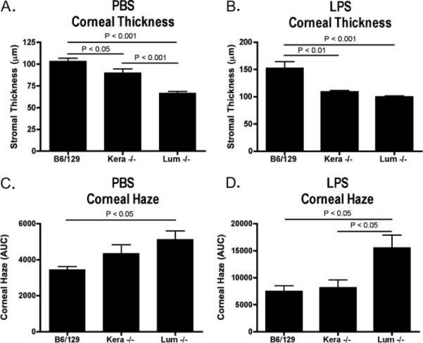 and lumican regulate neutrophil infiltration and corneal clarity