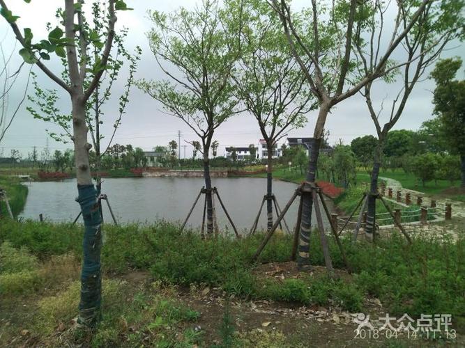 凤凰山湿地公园-图片-无锡周边游-大众点评网