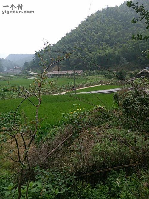 湖南省益阳市安化县羊角塘镇石牛村