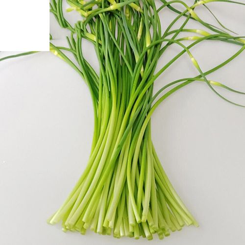 新鲜短蒜苔河南特产蒜薹蒜苗农家蔬菜嫩蒜苔蒜毫青蒜苗食材950g 950g