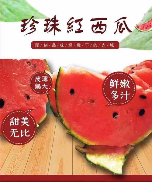 商河郑路珍珠红西瓜 新鲜水果 约5斤 当天采摘 顺丰2个装