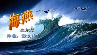 海燕课件分析ppt下载