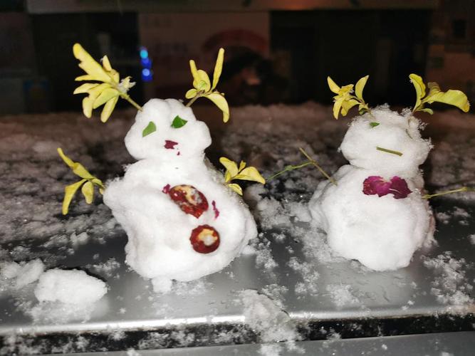 成都某高校雪人惊魂记