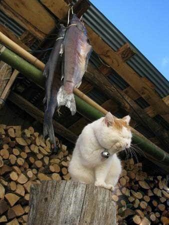 妈呀,咸死我了!