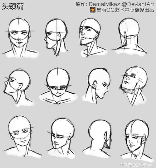 结构,头颈肩,正面,半侧面,侧面,俯视,.