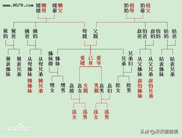 在血缘关系中表妹堂妹哪个的血缘关系更近一些