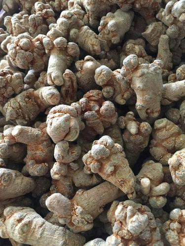 中药材批发三七 三七今日价格